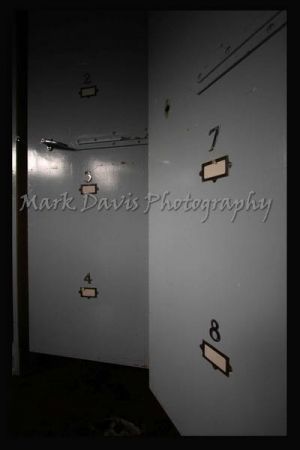 fridge door-c89.jpg